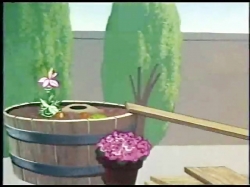 باگز بانی (گل صحرایی نایاب)